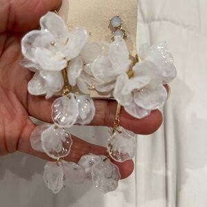 Anthropology hearing